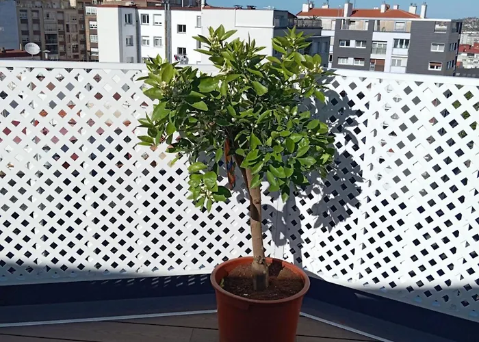 Apartament El Capricho, Grandes Vistas Y Parking Incluido *